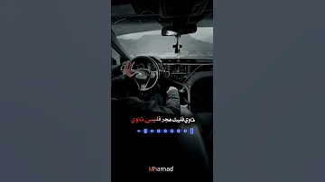 ناوي قليبك هجر قليبي ناوي 