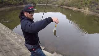 【バス釣り】メガバス新作バイブレーションXダイナを全種類使って違いを検証してみた! 秋の減水野池 釣りむちゅう