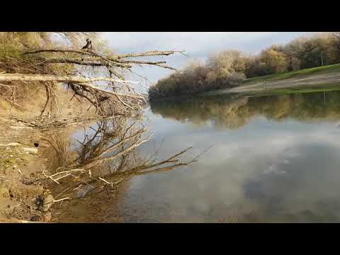 Videó: Hogyan épült A Szvjadzsszk-erőd