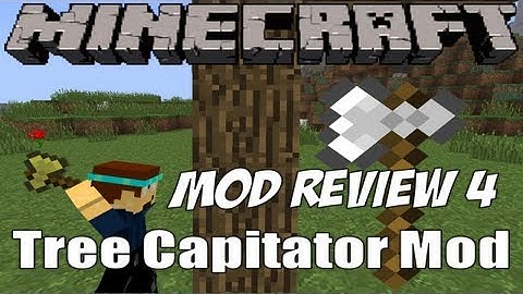 Minecraft Mod Review 3:Tree Capitator Mod