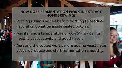 How Does Fermentation Work In Extract Homebrewing? - The Pint Guy