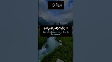 Surah At-Tīn (سورة التين) is the ninety-fifth surah of the Qur'an, with 8 ayat or verses.
