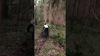 Dh on hardtail #sport #sports #downhill #bike #biker #rider #viral #short