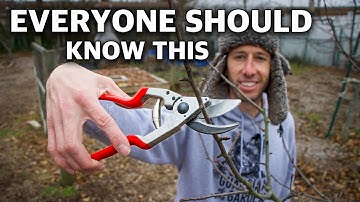 This Technique of Pruning Trees Will Change Your Life
