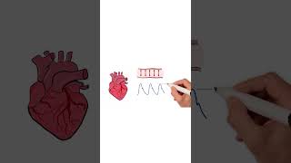 Blood Pressure Explained #healthsketch #shorts screenshot 5