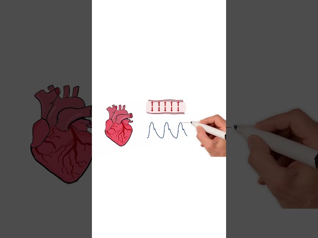 Blood Pressure Explained #healthsketch #shorts class=