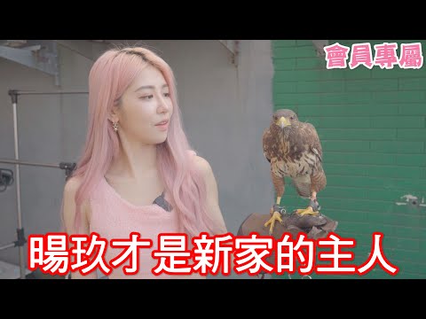 【會員福利】新家開箱幕後花絮
