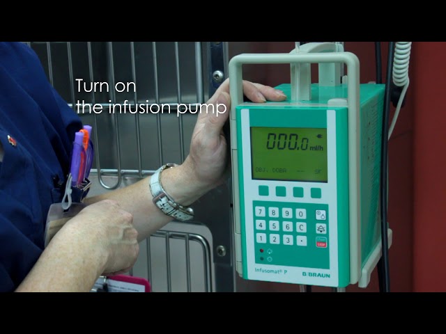 Set Up The Infusion Pump (Emergency Medicine In Small Animal Practice) class=