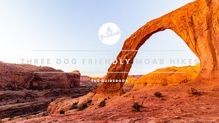 Three Great Trails In Moab That Aren’t In National Parks (Dog Friendly) by The Guidebook 852 views 1 year ago 2 minutes, 52 seconds