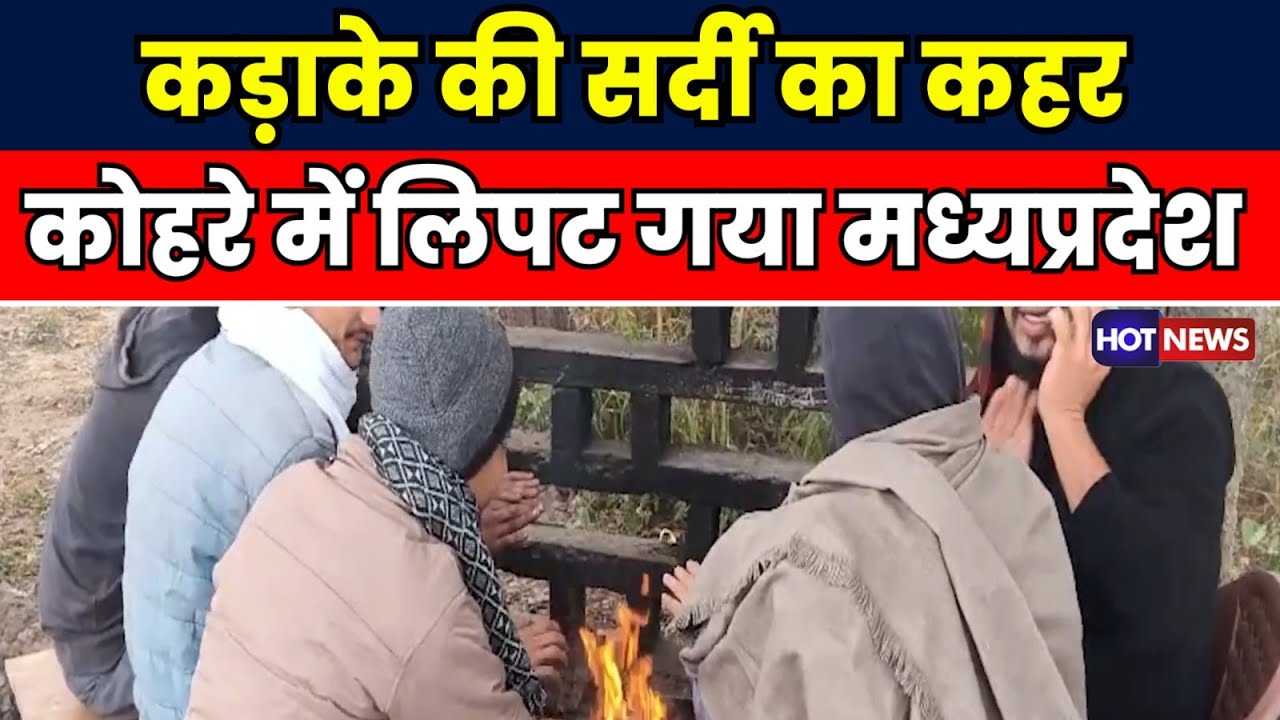MP Weather Update: शीतलहर का कहर, कई जिलों में घना कोहरा | Latest News