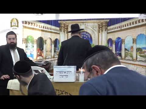 שידור חי מסוכת הרב ישראל אברג'ל שליט"א | חג הסוכות ה'תשפ"ד