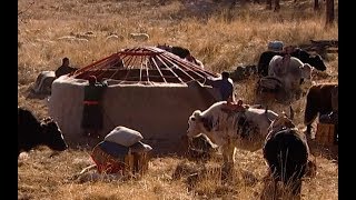 The Nomadic Existence of a Mongolian Herding | Tribe | Earth Unplugged