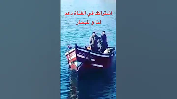 على مولانا يا فلوكة 