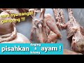 Cara memisahkan daging dan tulang ayam sampai bersih !