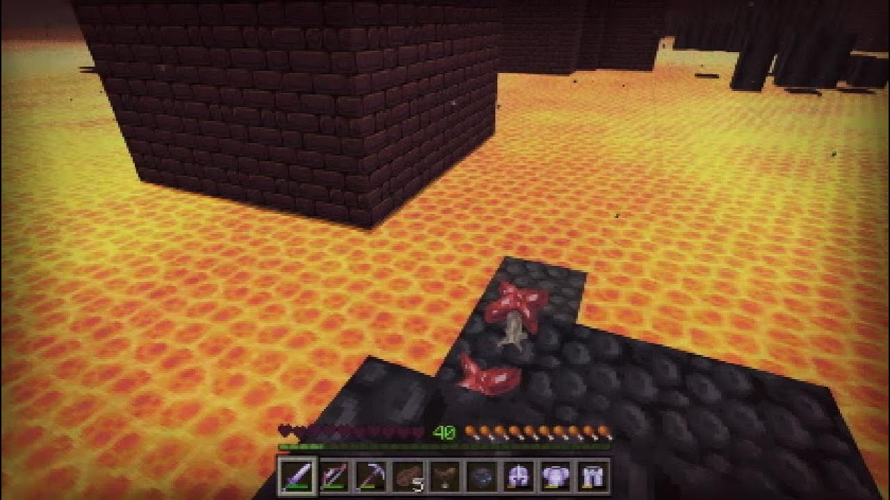 Minecraft Craftymon ep 19 wither skull hunting again