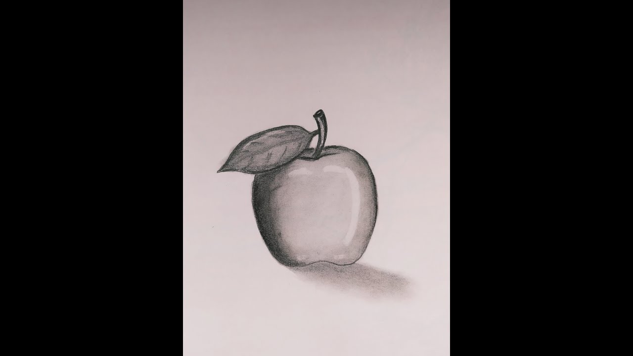 How to draw realistic sketch of apple!! Learn how to do shading...PM