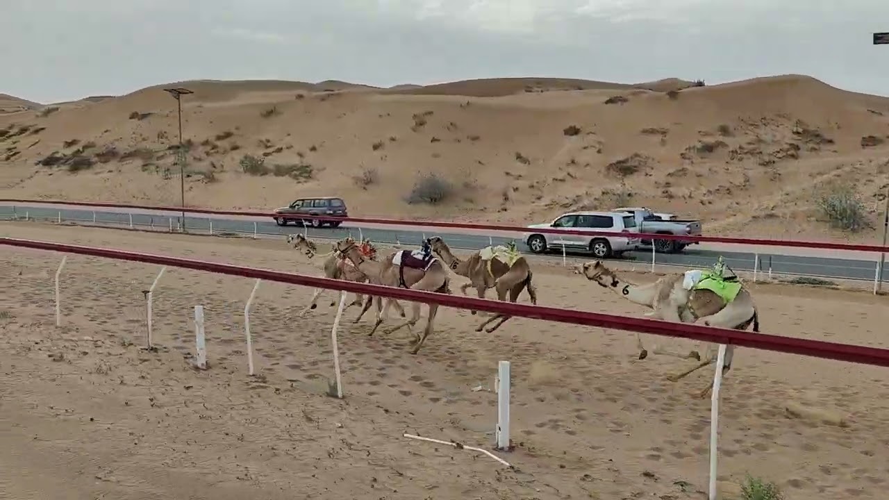 ش20نجدين- سلطان محمد عبيد بن طوق العليلي 7:30