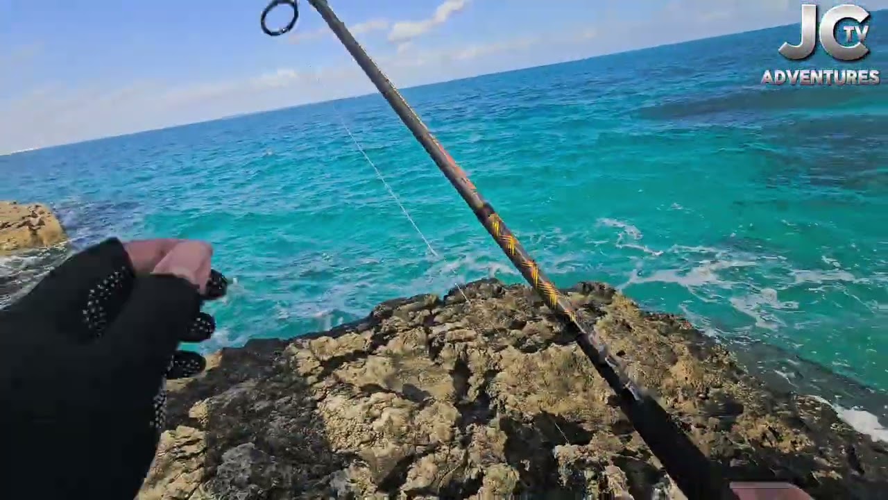 Ep. 44 - Bonito again