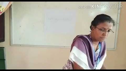 Std 5 Basic Science Unit 1 Class 03 White Board CP