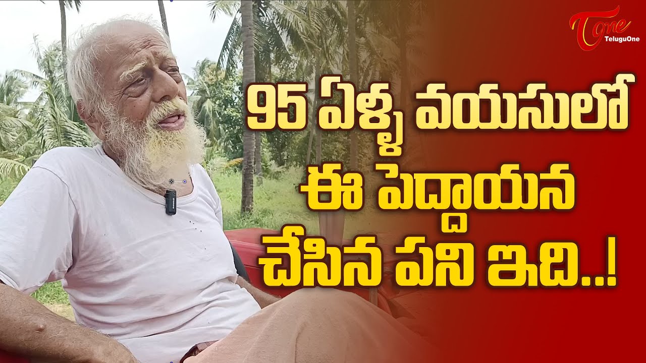 95 Years Old Hari Mukundha Panda Build a Temple Like Tirumala at Palasa | TeluguOne