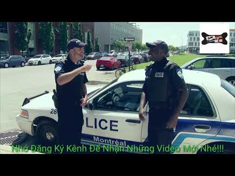 Video Cười Lên Nào . Just for laughs gags phần 101 - youtube