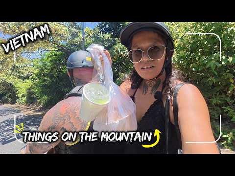 SON TRA MOUNTAIN || VIETNAM TRAVEL 2026