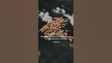 حالات واتس اب قرآن كريم | ماهر المعيقلي 💌🌾