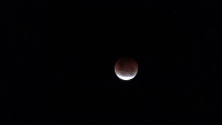 Time Lapse: Lunar Eclipse 8/10/2014