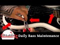 Do this to keep your bass playing perfectly.