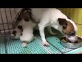 お母さん＆子供たち食事中