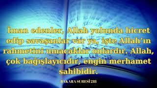 BİR AYET BİR HADİS  \