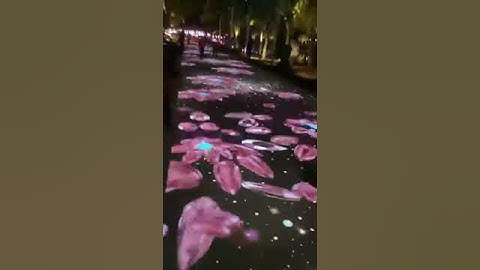 3D Hologram Interactive Floor Projection System Interactive Floor Projection Software