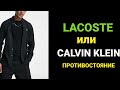 LACOSTE или CALVIN KLEIN