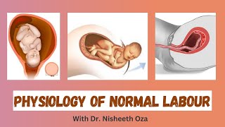 Physiology of Normal Labour | DrOzaConnects in Hindi | Dr Nisheeth Oza