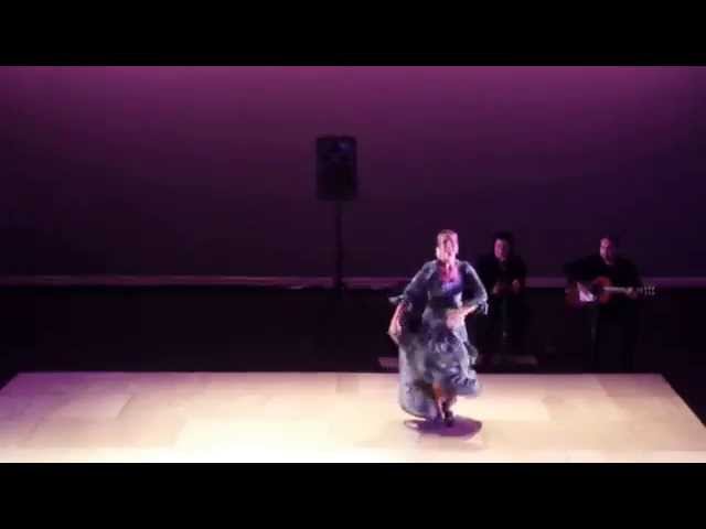 American Dance Institute, Recital 2014