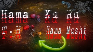 :    25.000  !    ! HAMA KU RU SPIDER & !