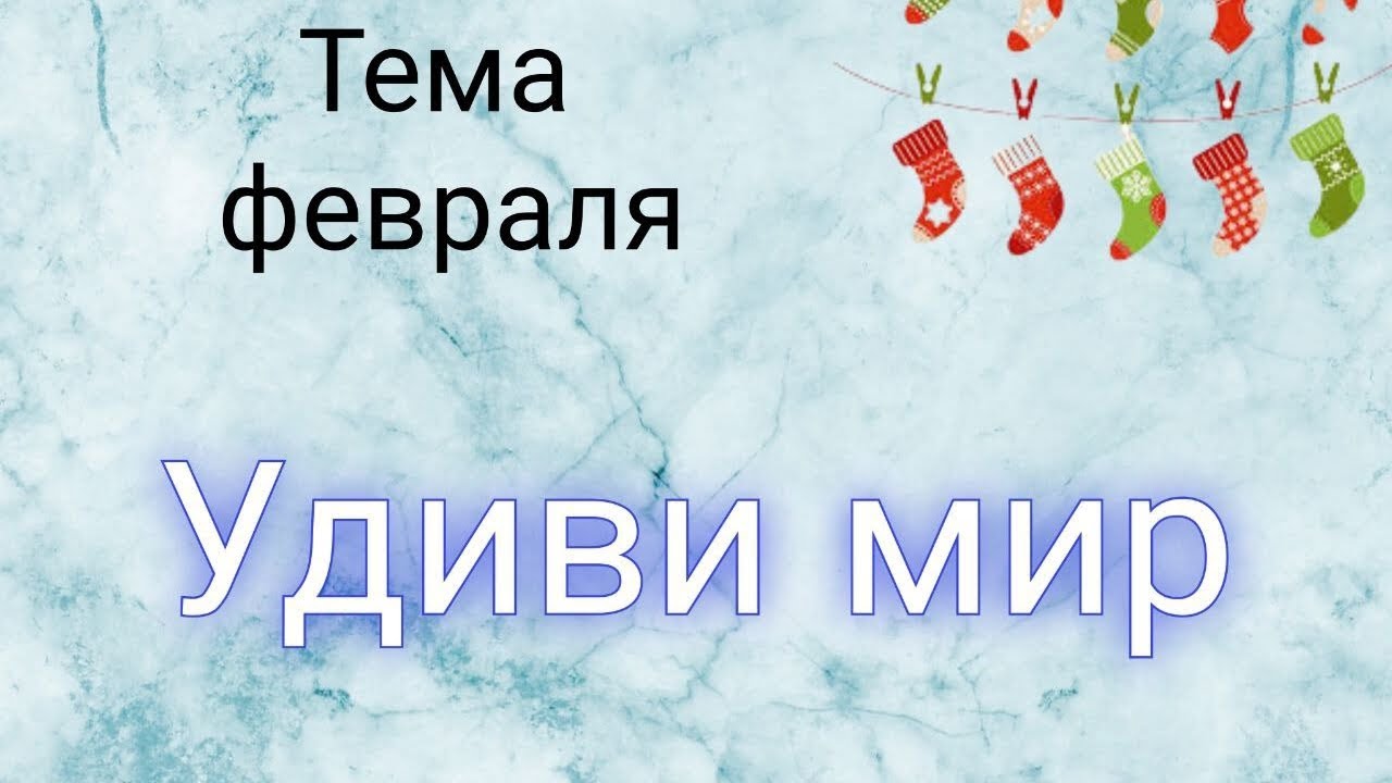 СП Носочный календарь 2024. Отчёт за февраль