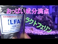 第74話 魚に優しいラクトフェリン