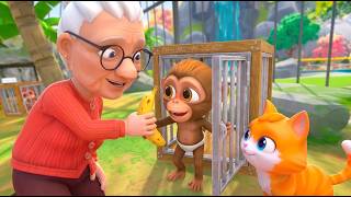 GRANNY ADOPTED BABY MONKEY! - I Am Cat VR