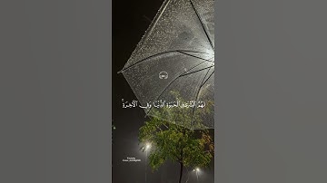 {ألا إن أولياء الله لا خوف عليهم ولا هم يحزنون} القارئ عبد الرحمن مسعد 🍂🤍 #قرآن