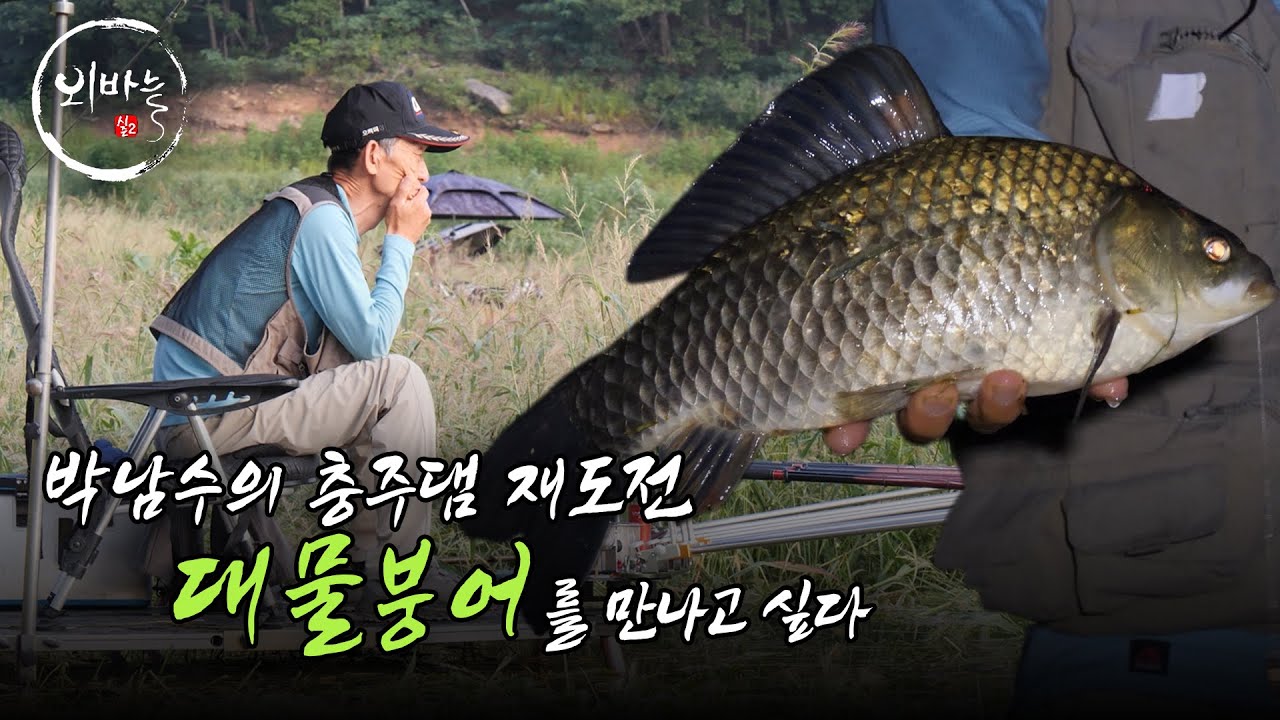 박남수의 충주댐 재도전! 5짜 붕어를 만날 수 있을까 [외바늘시즌2 EP.68]