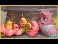 Youtube Thumbnail title