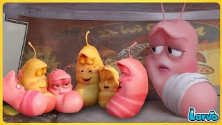 Larva  Children  Cartoon Movie For Life The Best Of Cartoon  Hilarious Cartoon Compilation 2024
