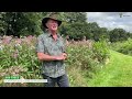 An introduction to Airwave's sustainability partner, Gift A Tree
