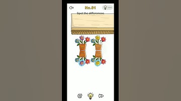 BRAIN OUT Level 81 [SPOT THE DIFFERENCES]  WALKTHROUGH