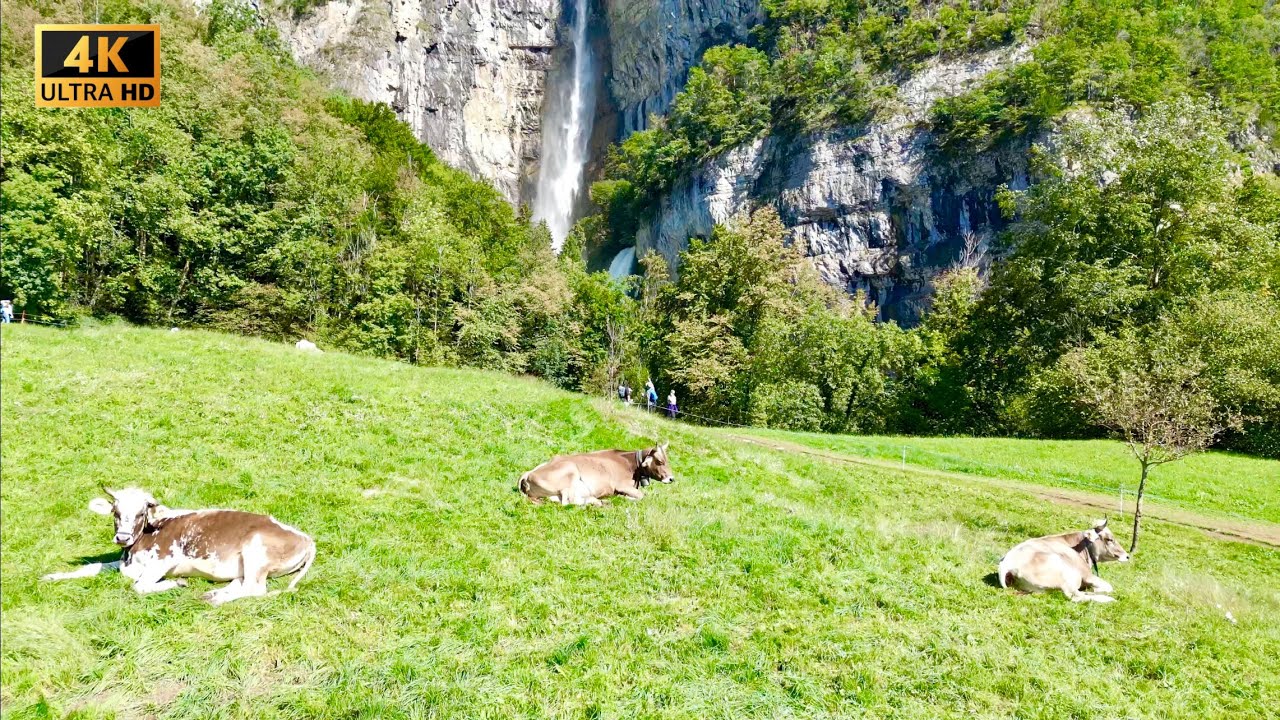 Seerenbachfälle | Waterfall in Switzerland | 4K