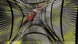 20230124 786 4 Spring Force Struggle