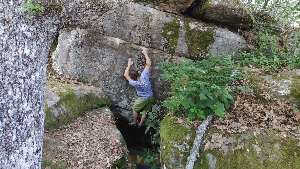 Voces de Ultratumba 7a/+, Rozas