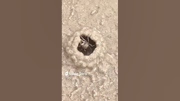 هذا خلق الله #المنشاوي #قرآن #تلاوة خاشعة #اكسبلور