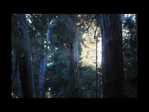 千葉県の秘境神社 日吉神社へ行ってみた Youtube